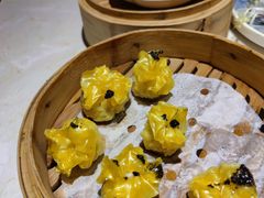 -点都德·毕德寮