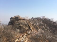 -大岭沟猕猴桃谷风景区