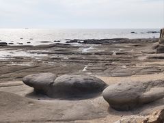 -辽宁团山国家级海洋公园