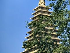 -北京石刻艺术博物馆(五塔寺)