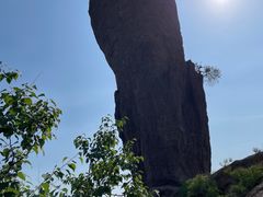 -磬锤峰森林公园