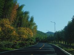 -江南天池