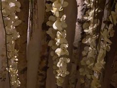 -益健·足疗汗蒸SPA(芙蓉广场店)