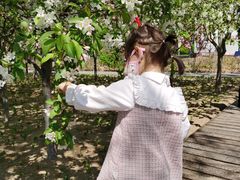 -大兴滨河森林公园