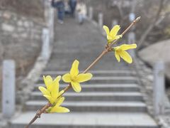 -北京凤凰岭