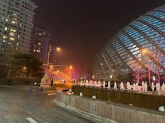 -凤凰中心