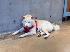 -微焙咖啡工厂(海峡创意产业园·红坊店)