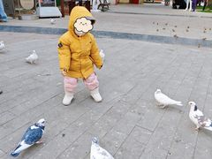-中粮·祥云小镇