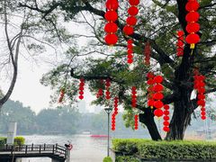 -荔湾湖公园