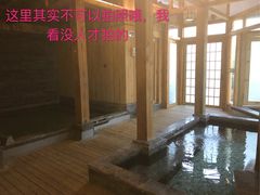 -成都蓝城悦杏温泉美食酒店(宽窄巷子店)