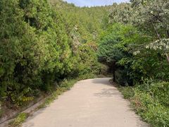 -府君山公园