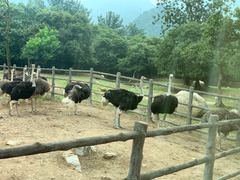 -西安秦岭野生动物园