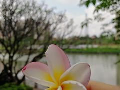 -怡海公园(桂城街道)