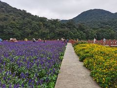 -广州市石门国家森林公园