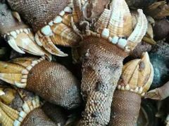 -浪琴湾尾角仔海鲜坊