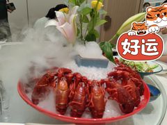 -新日月育才大酒店-中餐厅(环城北路店)