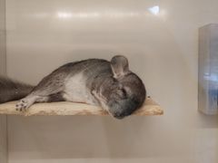 -龙猫仔乐园(惠福东路店)