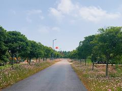 -上海长兴岛郊野公园