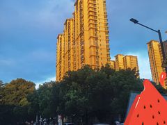 -中南·世纪雅苑