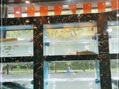 -浔味·山屿湖·正宗淳牌全鱼宴老字号