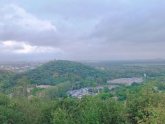 -上海佘山国家森林公园西佘山园