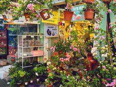 -溪岸路花鸟市场