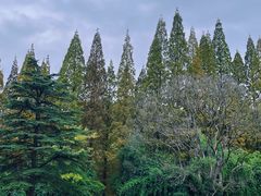 -花溪公园