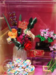 -乐高授权专卖店(朝阳大悦城店)