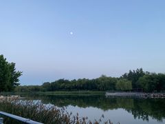 -大兴滨河森林公园