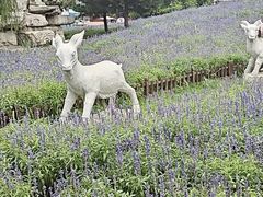 -羊亭河湿地公园