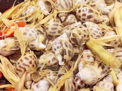 -100蛋泥浆浴