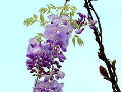 -雀儿山公园