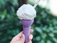 -野人先生现做冰淇淋(西安赛格店)