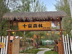 -十亩森林