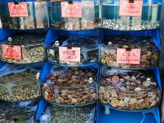 -北戴河庆山饭店·海鲜砂锅粥(北戴河黑石路店)