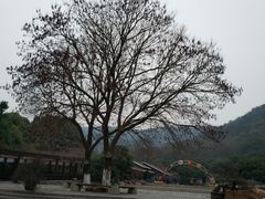 -宝岩生态观光园