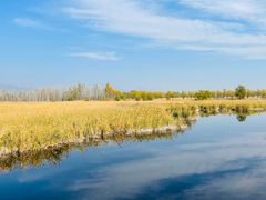 -野鸭湖国家湿地公园