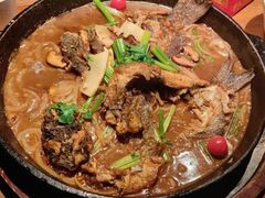 -老板恋上鱼(高新万达店)