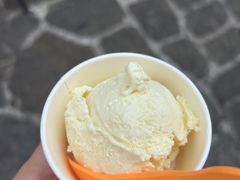 -iceason爱茜茜里·意大利健康冰淇淋(骑龙巷店)