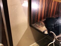 -武汉江城明珠豪生大酒店