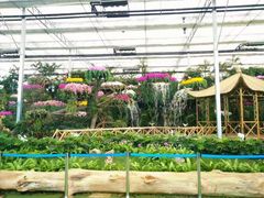 -兰陵国家农业公园