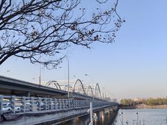 -灞河西岸滨河公园