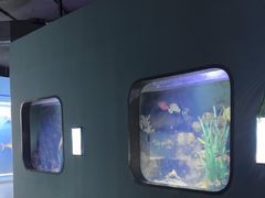 -重庆欢乐海底世界