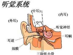 -自然之声助听器·呼吸机(东风大街店)