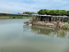 -马陆小张葡萄园农家乐