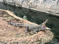 -石家庄市动物园