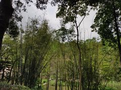 -云溪植物园