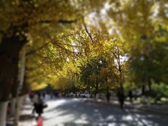 -辽宁大学(崇山校区)