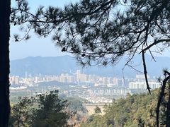 -大奇山国家森林公园