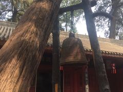 -武侯墓风景区
